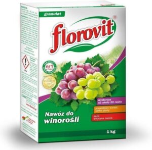 cf4352d7a62d40b3fe58511f149887d7